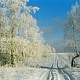 Зимняя дорога